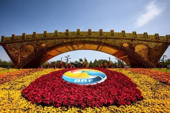 魏建国：在积极发展中描绘好“一带一路”倡议的工笔画